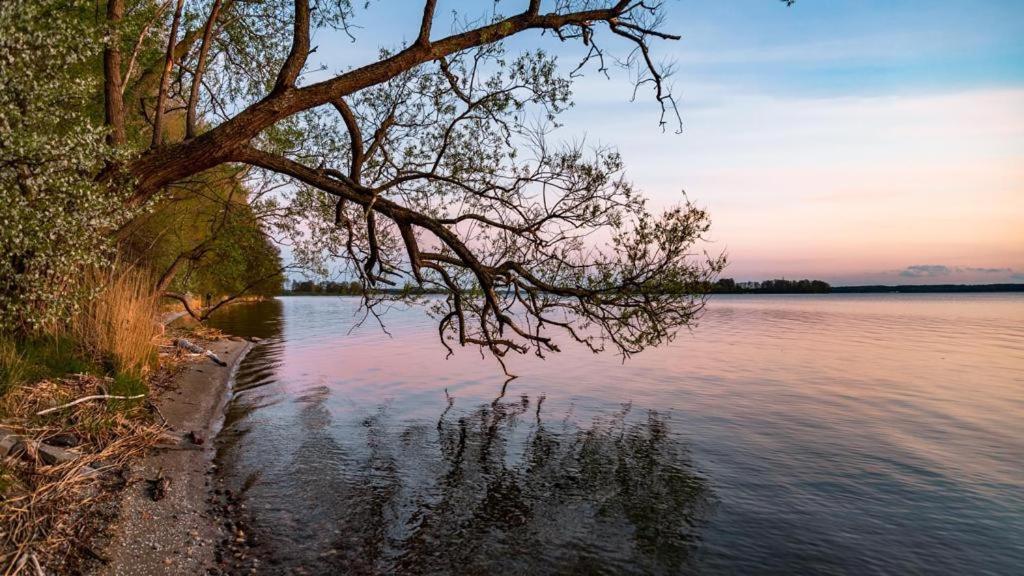 Gizycko-Przerwanki Domki Widok Na Mazury Ngoại thất bức ảnh