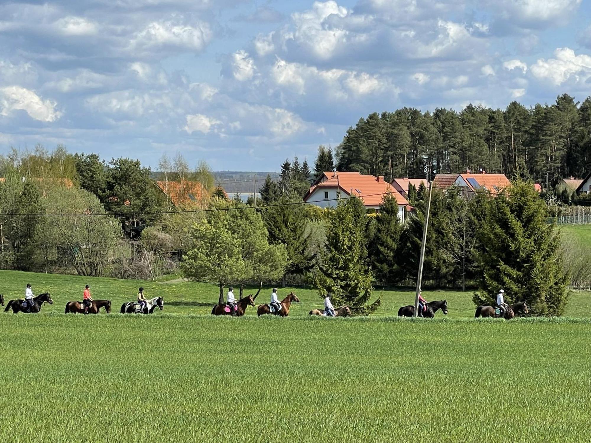 Gizycko-Przerwanki Domki Widok Na Mazury Ngoại thất bức ảnh