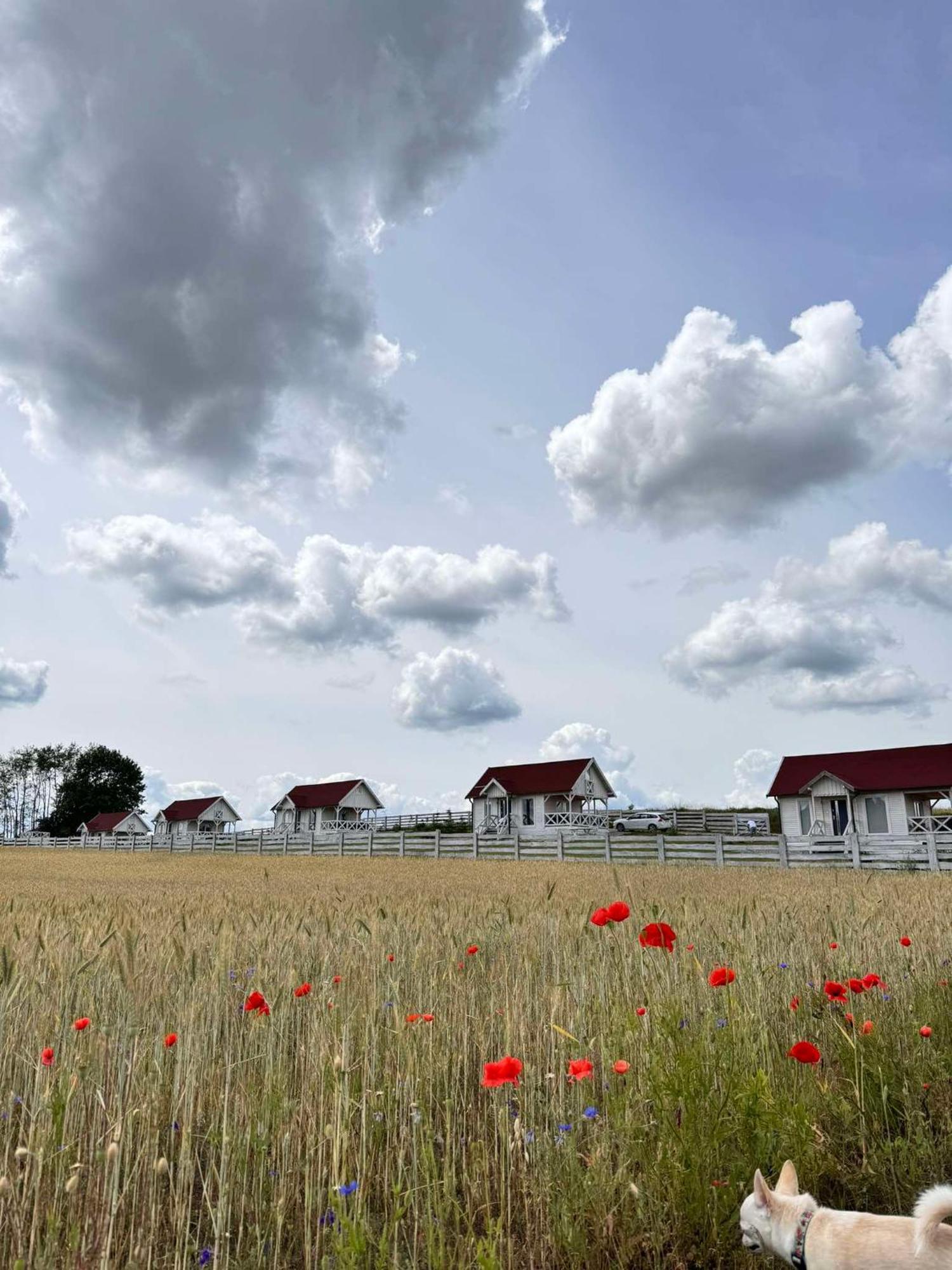 Gizycko-Przerwanki Domki Widok Na Mazury Ngoại thất bức ảnh